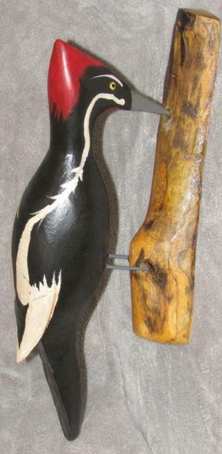 IVORY BILLED WOODPECKER hand carved 20 