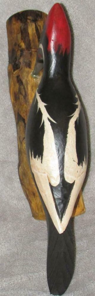 IVORY BILLED WOODPECKER hand carved 20 