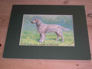 Antique Long Haired Weimaraner Dog Oil Painting On Canvas By D.  Johnson Named