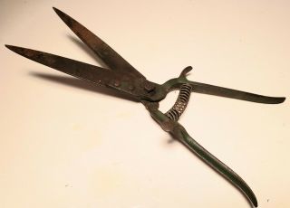 Antique Garden Shears Grass Clippers - Heavy Guage Metal