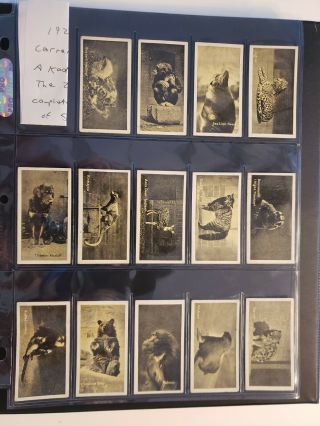 1925 Carrera’s A Kodak At The Zoo Complete Set Of 50 Book Value $57.  00
