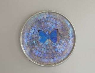 Vintage Butterfly Wing Inlayed Tray Dish Blue Morpho Antique Silver Flaws
