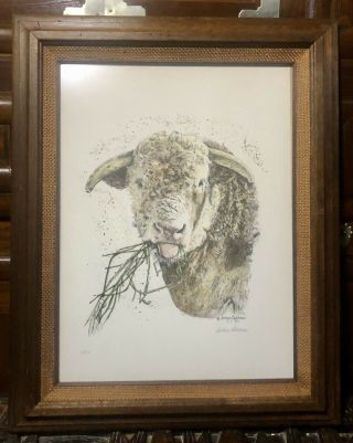 Vtg ‘70s A.  Patureau “the Hereford” Signed Limited Ed.  Cattle Breed Litho Texas