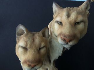 11 " Mill Creek Studio " Cat Nap " Male & Female Cougar By Randall Reading 2001