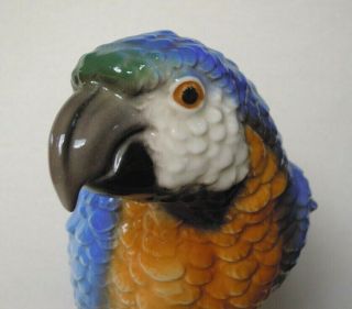 Goebel Hummel Parrot Blue - And - Yellow - Macaw Bird Figurine Cv 79 Produced1967