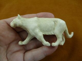 (cou - W1) Large Cougar Of Shed Antler Figurine Bali Detailed Carving Big Cat