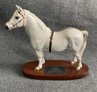 Beswick Horse Welsh Mountain Pony Gredington Simwnt 3614 Connoisseur Model