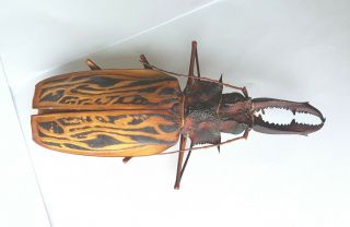 Macrodontia Cervicornis Male 13cm Prioninae Peru Beetle Insect Rare