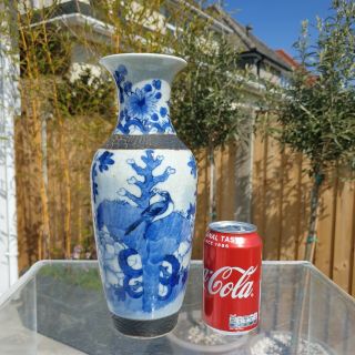 Large Antique Chinese 19th C Kangxi Style Blue & White Birds Vase