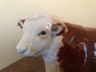 Beswick Hereford BULL CATTLE EXTREMELY Detailed Antique Perfect Cows 2