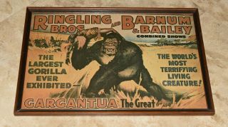 Ringling Brothers Barnum 16 3/4 X 24 1/2 Inch Circus Poster - Gargantua Gorilla