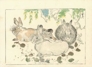 ☆☆rare☆☆ Kawanabe Kyosai Antique (1st Edition) Woodblock Print Hokusai Seitei