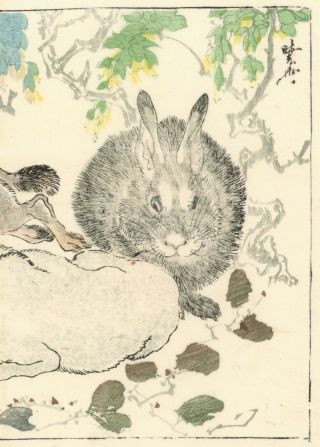 ☆☆RARE☆☆ Kawanabe Kyosai Antique (1st Edition) Woodblock Print Hokusai Seitei 3