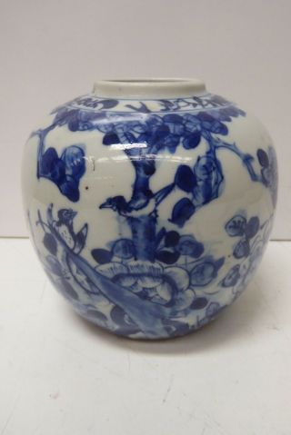 Antique Blue & White Hand Painted Chinese Ginger Jar Pot Vase