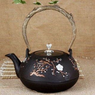 Japanese Antique Kanji Old Tetsubin Bottle Tea Kettle Teapot Chagama 1039