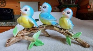 Vintage Three Bluebirds On A Tree Branch Norcrest? Lefton?