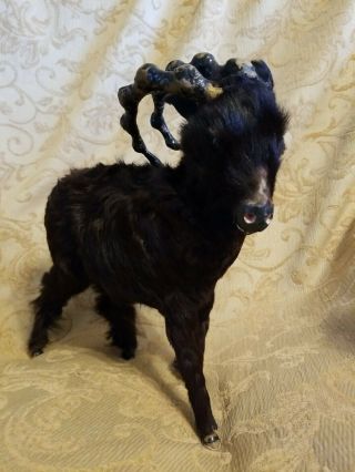 Rare Vintage Real Fur Toy Taxidermy Large Black Mountain Goat.  11 " X 11 "