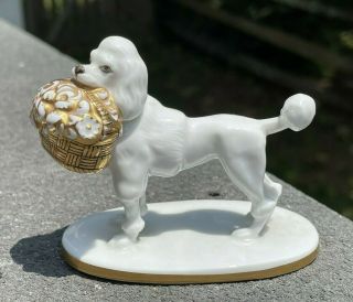 Vintage Rosenthal White Poodle Dog Gold Basket Of Flowers 773 Porcelain Figure