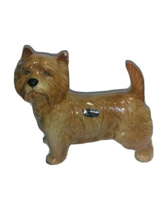 Fabulous Large Antique/vintage Cairn Terrier Or Norwich By Coopercraft England E