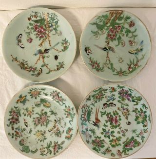 Set Of Antique 19th C.  Chinese Celadon Plates W/ Flowers,  Birds,  & Butterflies