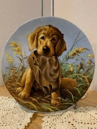 1987 Lynn Kaatz Caught In The Act - Golden Retriever Puppy Plate Father Dad Day