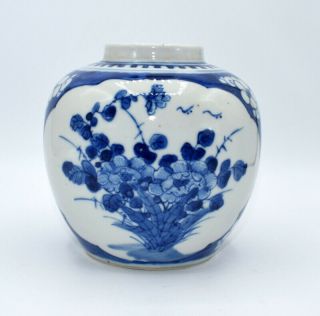 Antique Chinese Porcelain Ginger Jar Vase Blue & White Prunus Blossom