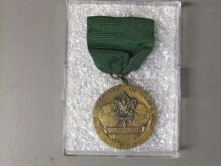 Boy Scout World Jamboree 1933 Us Contingent Medal 0942kk