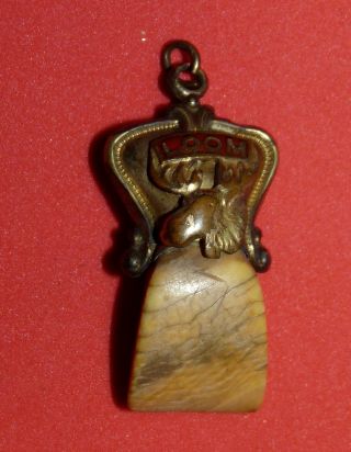 Vintage Faux Tooth Loom Pendant Charm Pocket Watch Fob Loyal Order Of Moose