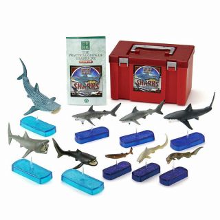 Colorata Real Figure Box Set Shark Deluxe From Japan F/s W/t