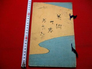 1 - 10 Bijyutu16 Kyosai Zeshin Japanese Woodblock COLOR print BOOK 2