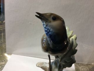 Rosenthal Porcelain Figurine Bluethroat Brown Bird Signed T.  Karner