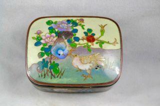 Charming Fine Silver Wire Antique Japanese Meiji Cloisonne Vase Box Chickens