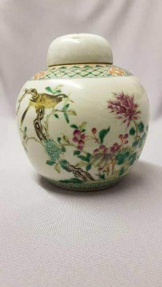 Charming Chinese Antique Ginger Jar/famille Rose/ Bird/ Flowers/ Doublering Mark