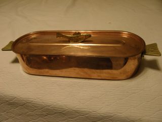 Vintage Copper Fish Poacher With Insert And Lid
