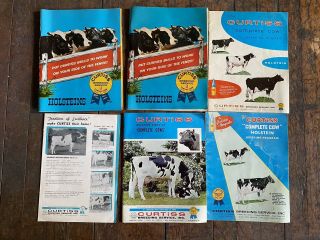1964 Curtiss Breeding Service Sales Brochures Catalogs Holstein Complete Cow Ag