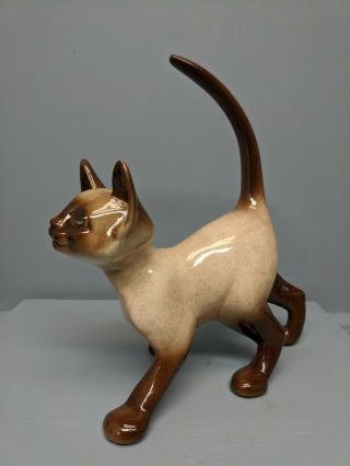 Old Freeman Mcfarlin Siamese Cat With Tail Up And Forward