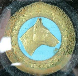 1776 - 1926 Sesqui Centennial Intenational Exposition Philadelphia Bronze Medal