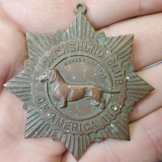 1959 Dachshund Club Of America Bronze Star Akc Award Medal L & W Judge