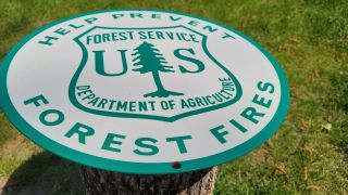 Vintage Heavy Forest Dept.  Service Metal Porcelain Sign " Prevent Forest Fires "