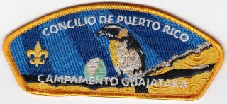 Csp - Puerto Rico Council - Sa - 167 - 171 Camp Guajataka Repair Fund Raiser Set - 2020