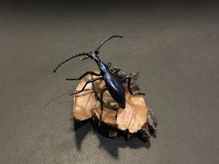 Rare Yujin Kaiyodo Japanese Ground Beetle Insect Pvc Figure Model
