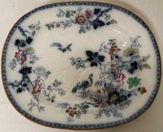 Antique Chinese Famille Rose Pheasant Porcelain Meat Platter Marked 19.  25 X 15.  5