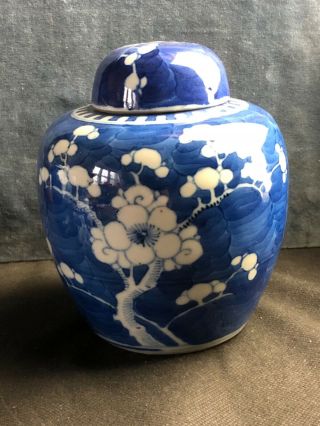 C19th Chinese Prunus Blue & White Ginger Jar With Lid Double Blue Rings To Base