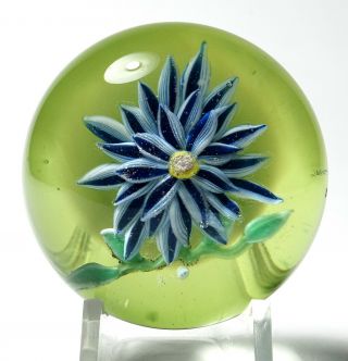 Rare Vintage Lewis Kain Blue And White Dahlia Paperweight With Green Ground