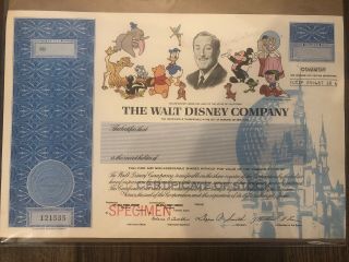 Rare Walt Disney Company Specimen Stock Certificate Never Folded No Print