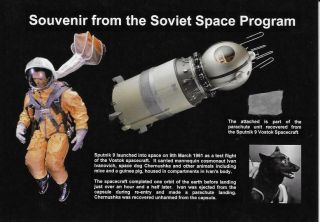 Sputnik 9 - Flown Parachute - Vostok Spacecraft - Space Dog