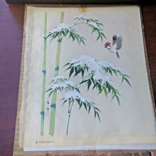Vintage Pair Japanese Watercolor On Silk Bird Paintings Kobayashi Bin Obo Fs