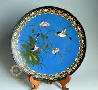 Large Antique 19th Century Meiji Japanese Cloisonne Charger Plate