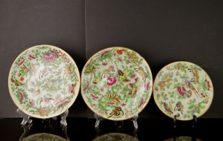 3 19th Century Chinese Celadon Porcelain Small Plates With Marks