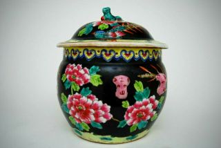 Nonya Ware Chinese Straits Porcelain Ginger Jar With Lid Early 1900 